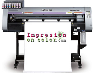 impresion en color cartelería
